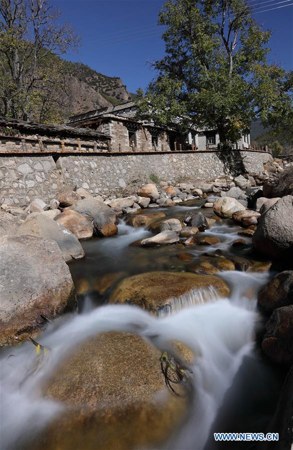 爱情动作片 艺术或娱乐的爱情问题