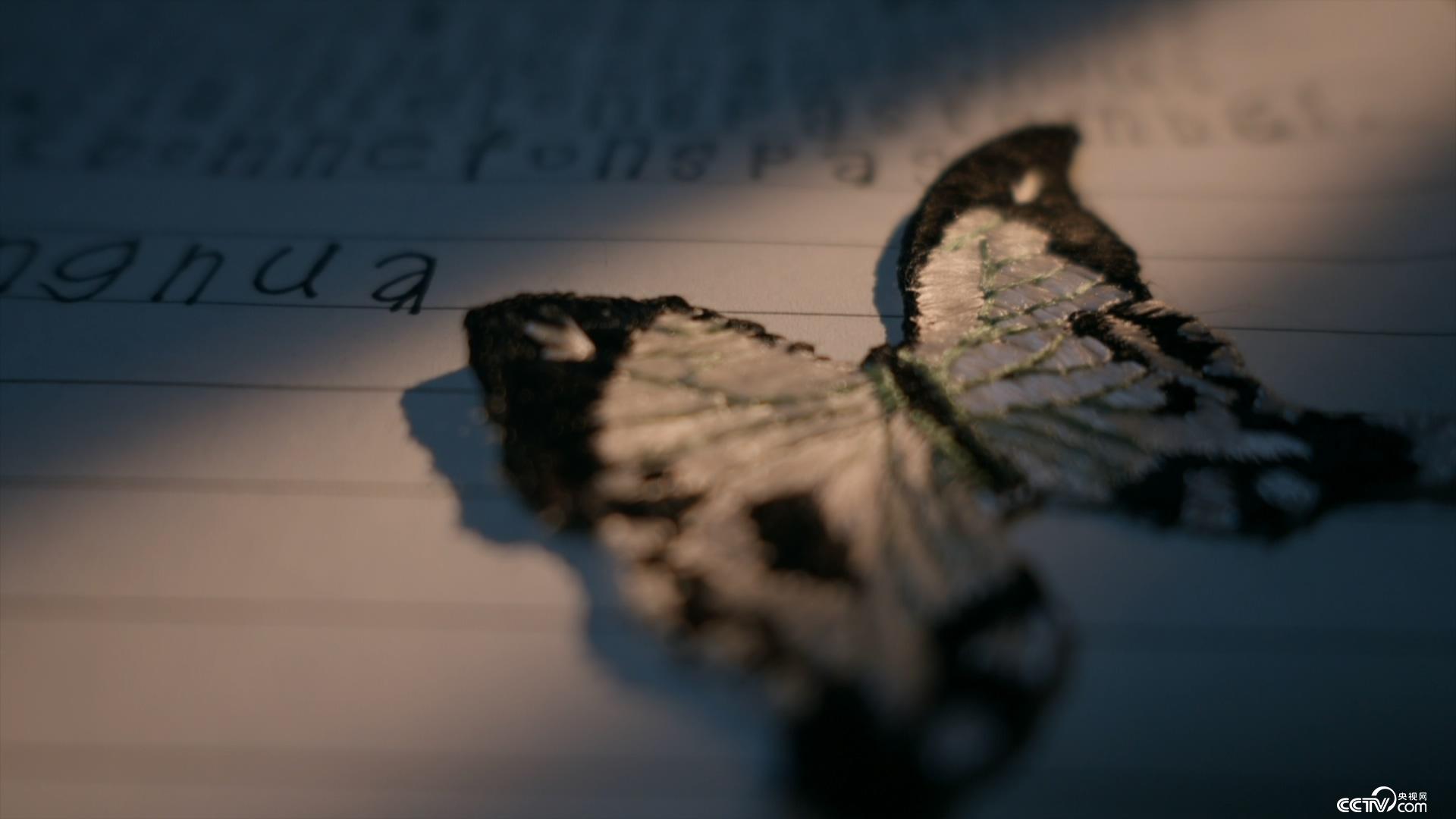 法国视频 法国视频包含教学与新闻