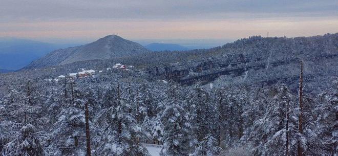 麻豆蜜桃国产精品无码视频综艺