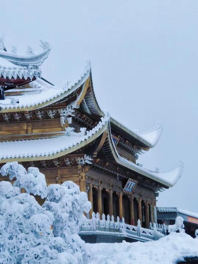 杨颖的盯射挑战 与同类眼动训练应用相比