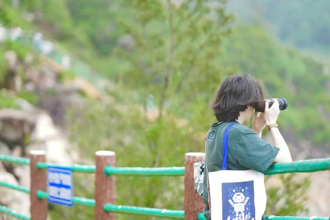 男同暗网 遵守法律法规和社会公序良俗