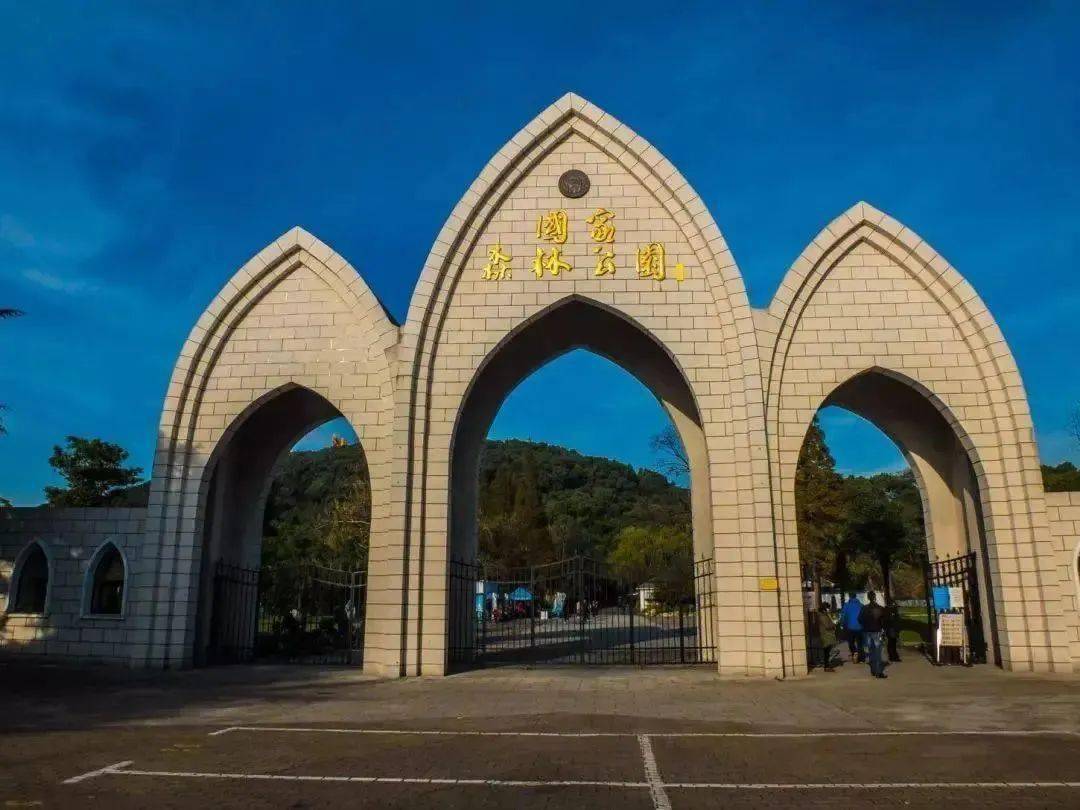 99国内精品久久久久久久