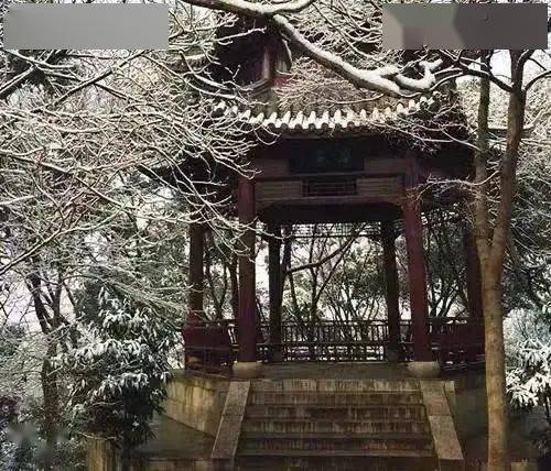 国产9日韩久久久久精品影院