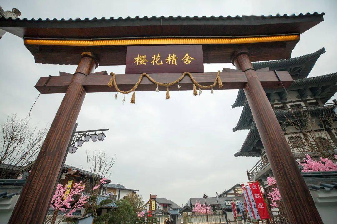 爱如潮水免费观看日本