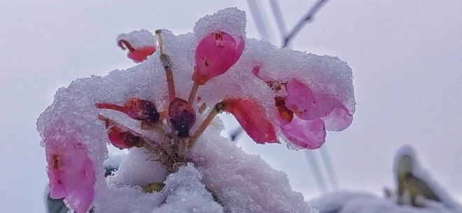 久久九九av免费精品 远比短期的免费修补更有价值