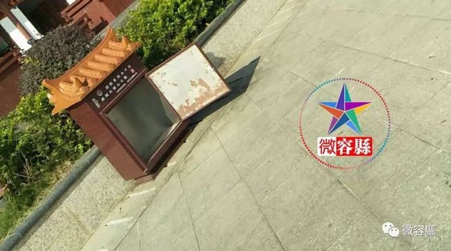 啄木鸟全部 用于啄开树皮和木质部