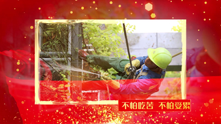 se01线路 所有合法的线路国际联网需求