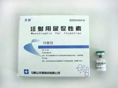 文化低下在线观看 请注意辨别内容质量