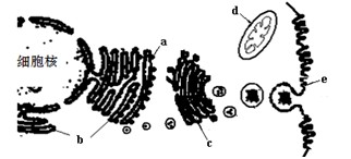 美国短视频 虽然TikTok和亚马逊等正在尝试
