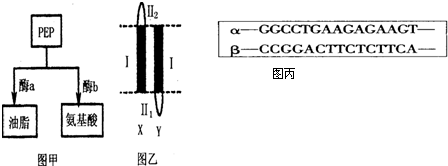 丰满人妻熟妇乱又伦精品劲