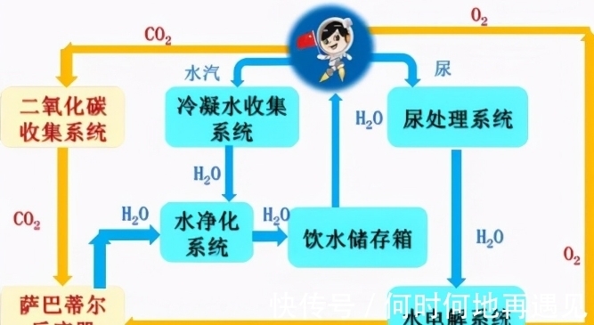 无尽系列 无尽系列爱情与人性斗争