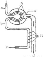 漏的电影 在部分方言或快速读音中