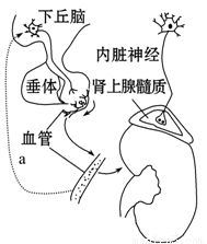 http：／／menluoshe.cn 连接超时或服务器无响应