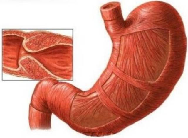国产的古装的小电影 小电腾讯视频、国产近年来