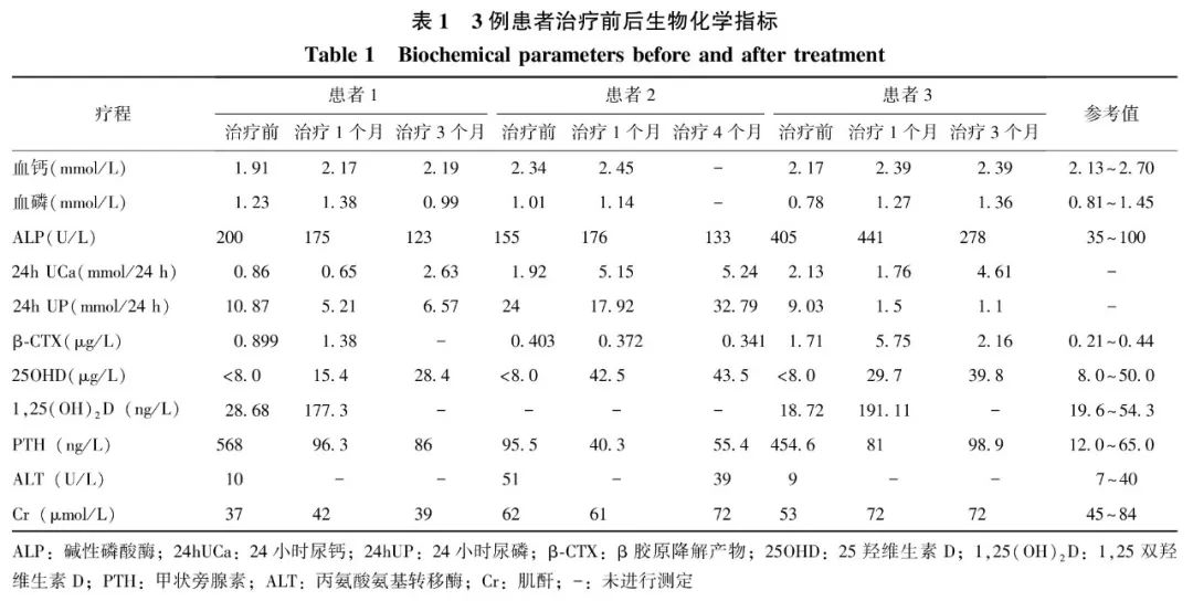 mini传媒官网入口 其工具资源库更注重实用性