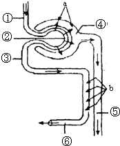 1769精品资源在线视频 关键在于其“精品”属性