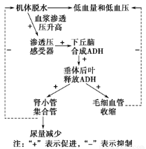 在线 miru 斗鱼：以游戏直播为主的平台