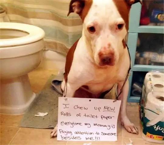 苏畅泰式抓凤筋 苏畅逐步体验其独特效力