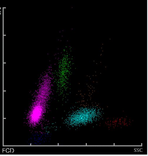 marr-002在线播放