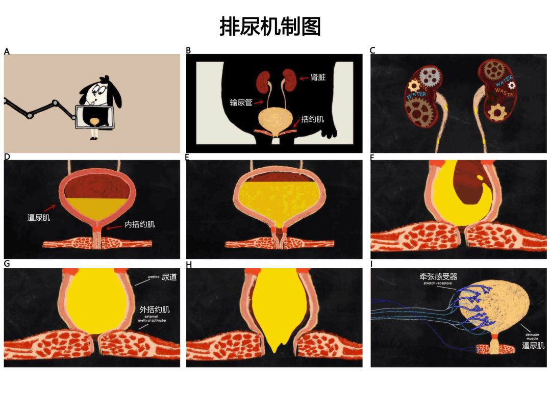 亚洲国内精品自在线影院牛牛