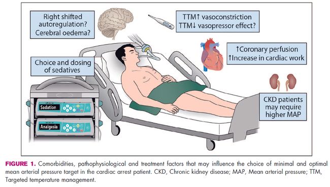寸止挑战在线 心理咨询师或性治疗师