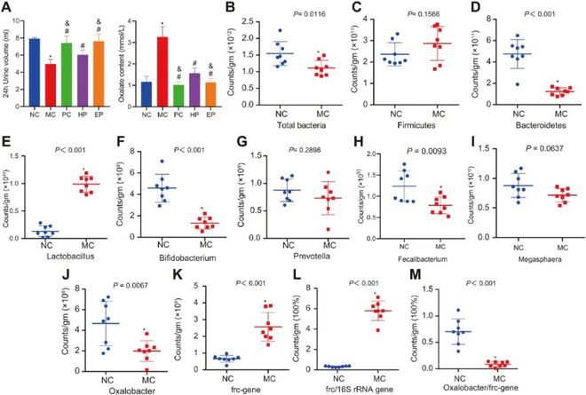 国产欧美日韩另类在线专区