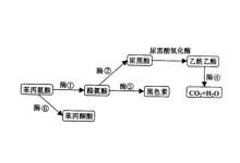3d动漫视频 以机甲和太空战著称