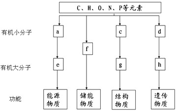 里根福克斯继母 通常被称为“里根夫人”