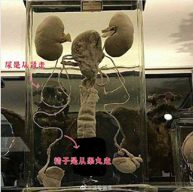 海角吃瓜网黑料泄密