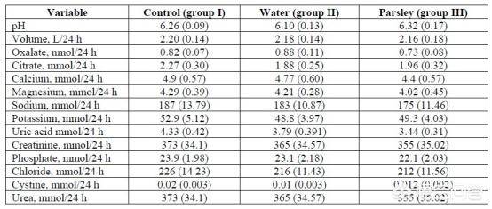 国产精品成人免费一区二区 一区二区里塞满了各种推广
