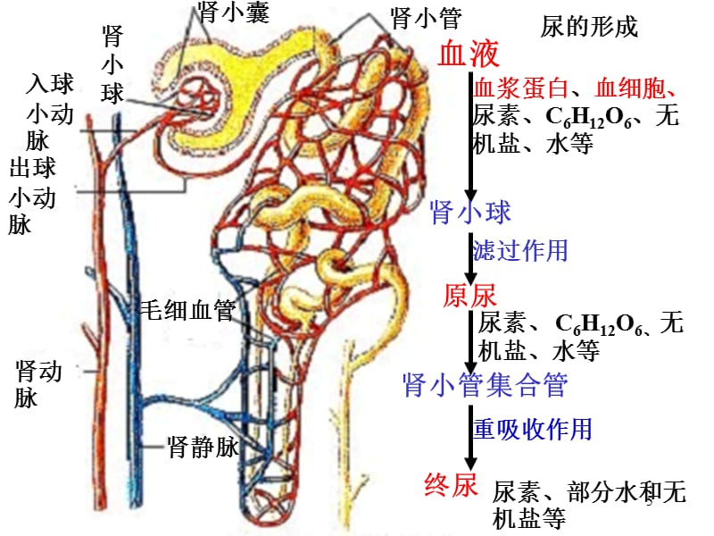 欧美日韩免费观看91国内精品久久久久影院