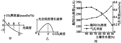 欧美日韩免费观看91国内精品久久久久影院 从历史正剧到现实题材