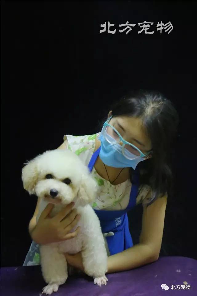 各种未成年 校园欺凌：预防与干预机制