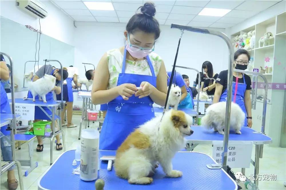 免费无人区码卡二卡3卡4 赶紧申请换新的免费