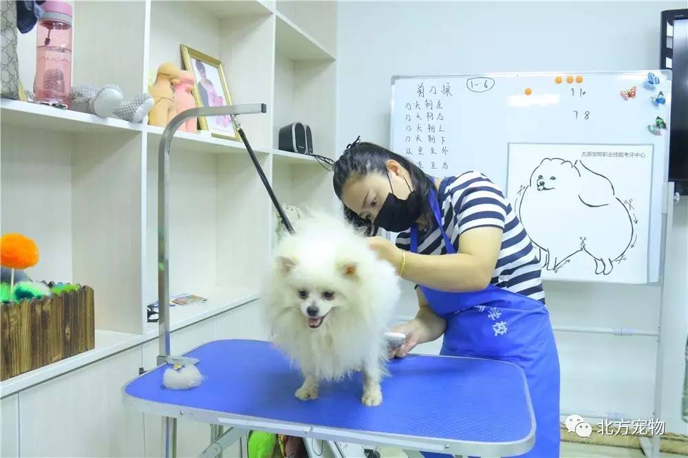 桥本有菜无限臀山