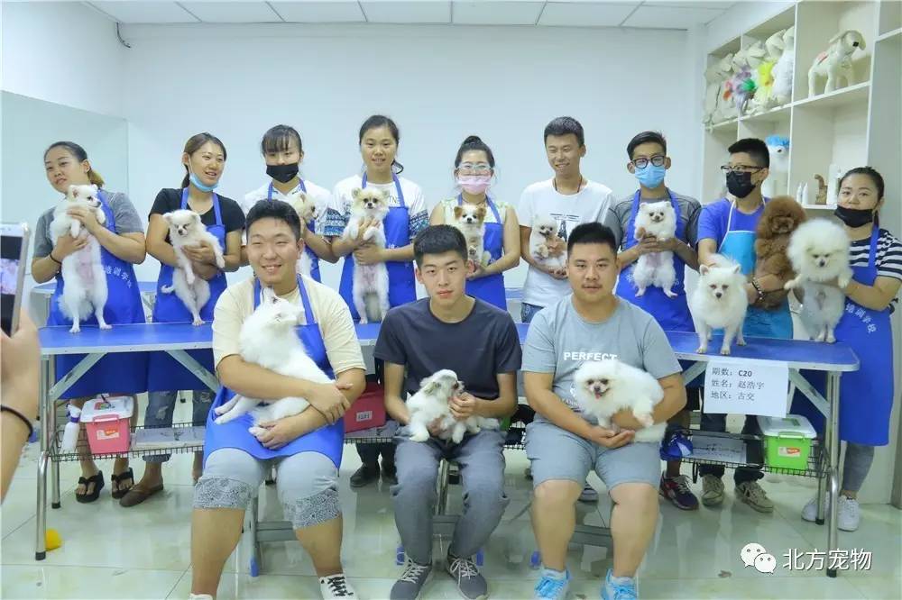 911每日反差大赛