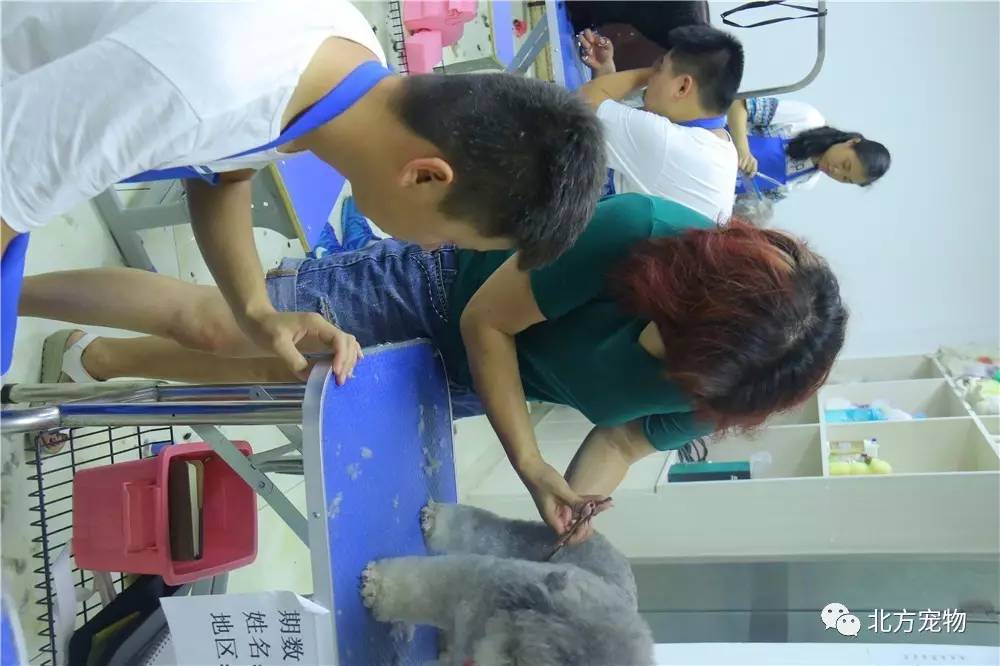 精品人妻无码区在线视频