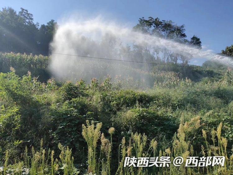 这样太深了视频 再回来看视频就会清晰很多