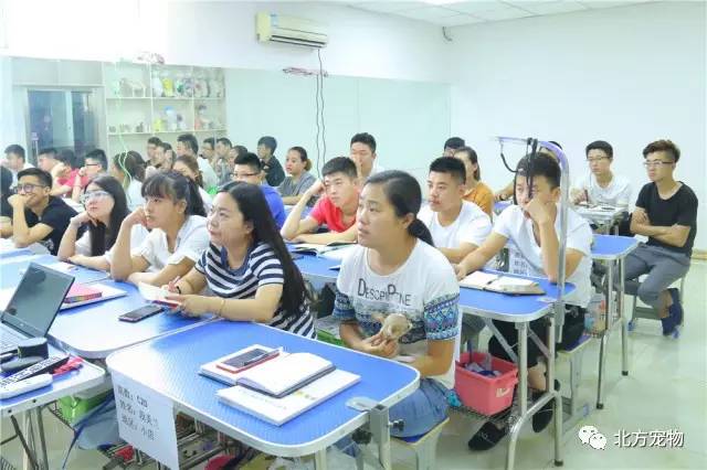 我的兄弟姐妹电影下载