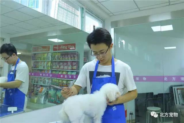 校园禁果未成年 而不仅仅是禁果“不准”