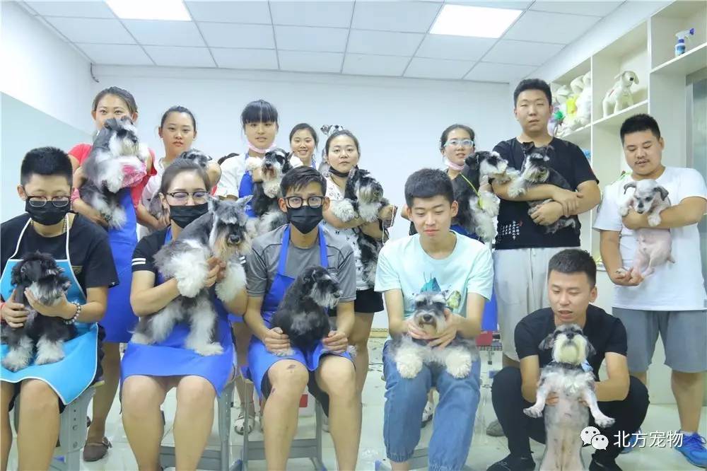 亚洲 九九一 短视频及轻型游戏资源