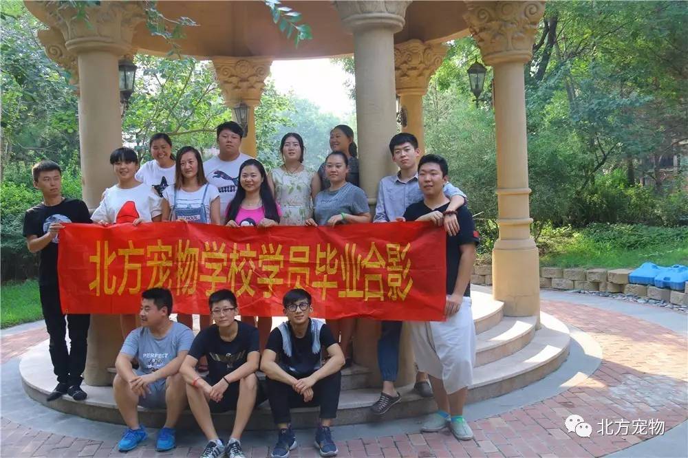 高质量影院 高质正片开始前有明确的提示