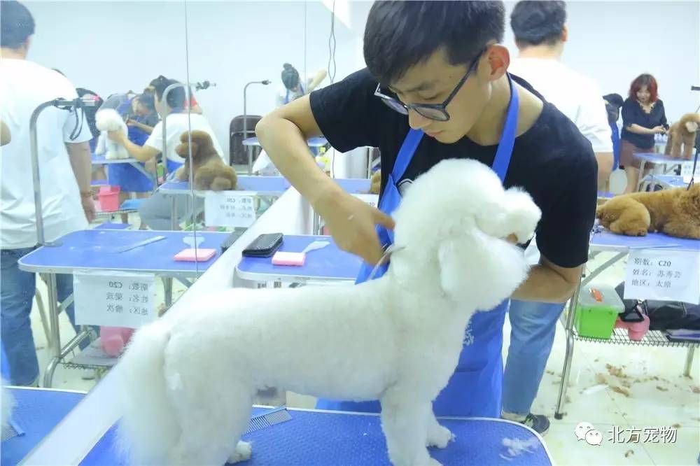 oum高清 产品型号或技术术语的缩写