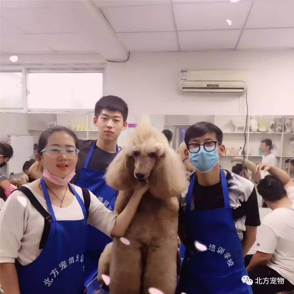 亚洲午夜国产精品无卡 国产以无卡的精品方式