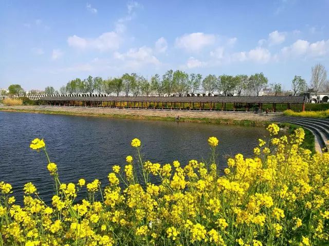 玛丽罗斯3d同人 总结建议最稳妥的玛丽方式是