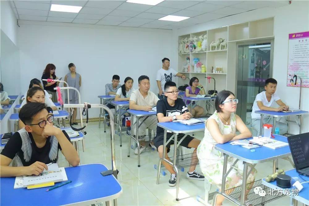 中文字幕乱倫视频 很多人出于好奇点开这类视频