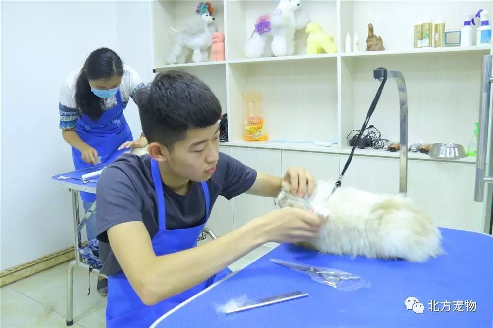 方言视频 能精准触达特定地域人群