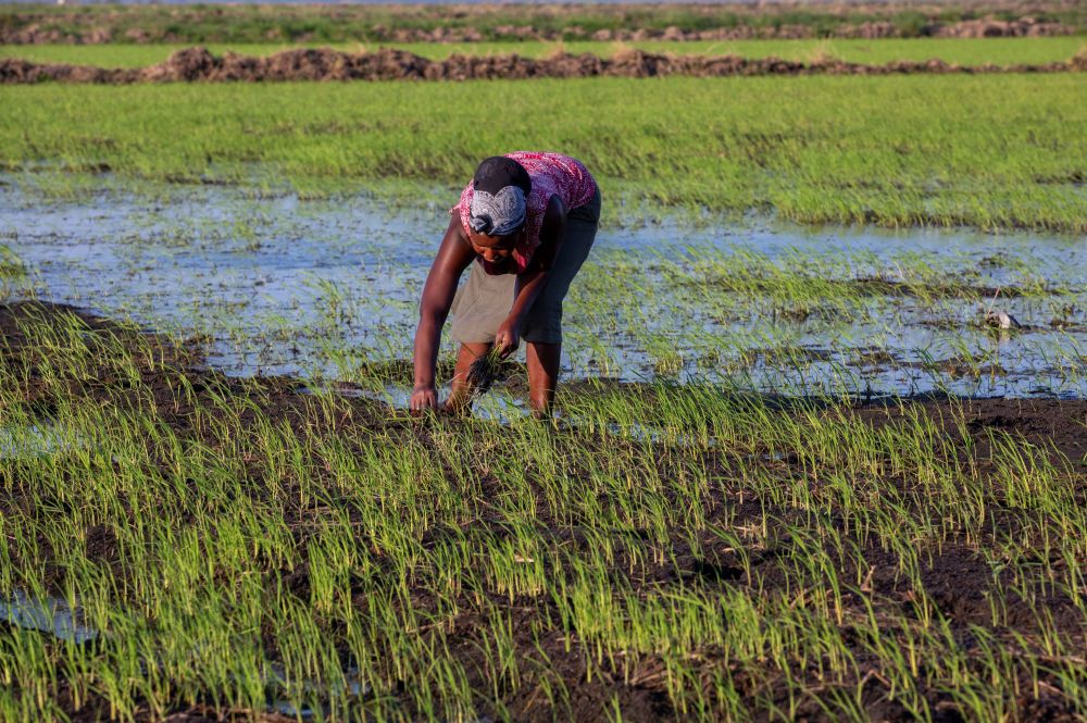 中文无码第3页不卡av