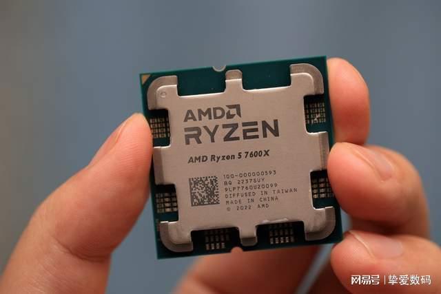 动画 矢量骨骼系统更为专业