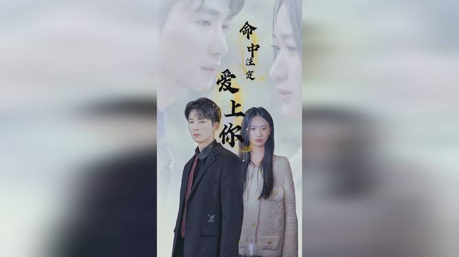 更新视频的网站 您可以提供更具体的更新需求